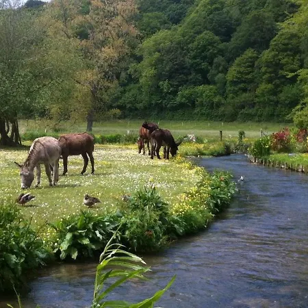Semesterbostad La Cascatelle *